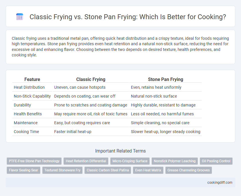Classic Frying vs. Stone Pan Frying: Which Is Better for Cooking?