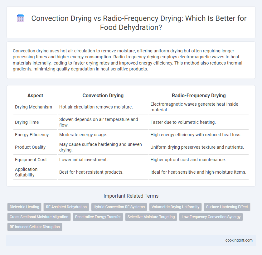 Convection Drying vs Radio-Frequency Drying: Which Is Better for Food Dehydration?