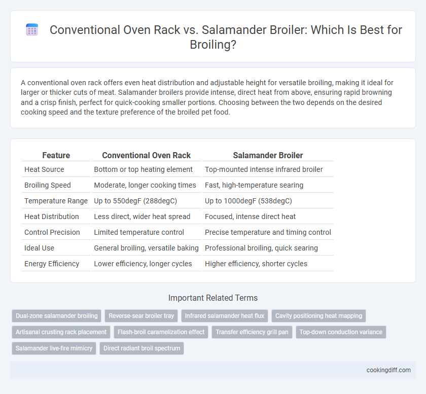 Conventional Oven Rack vs. Salamander Broiler: Which Is Best for Broiling?