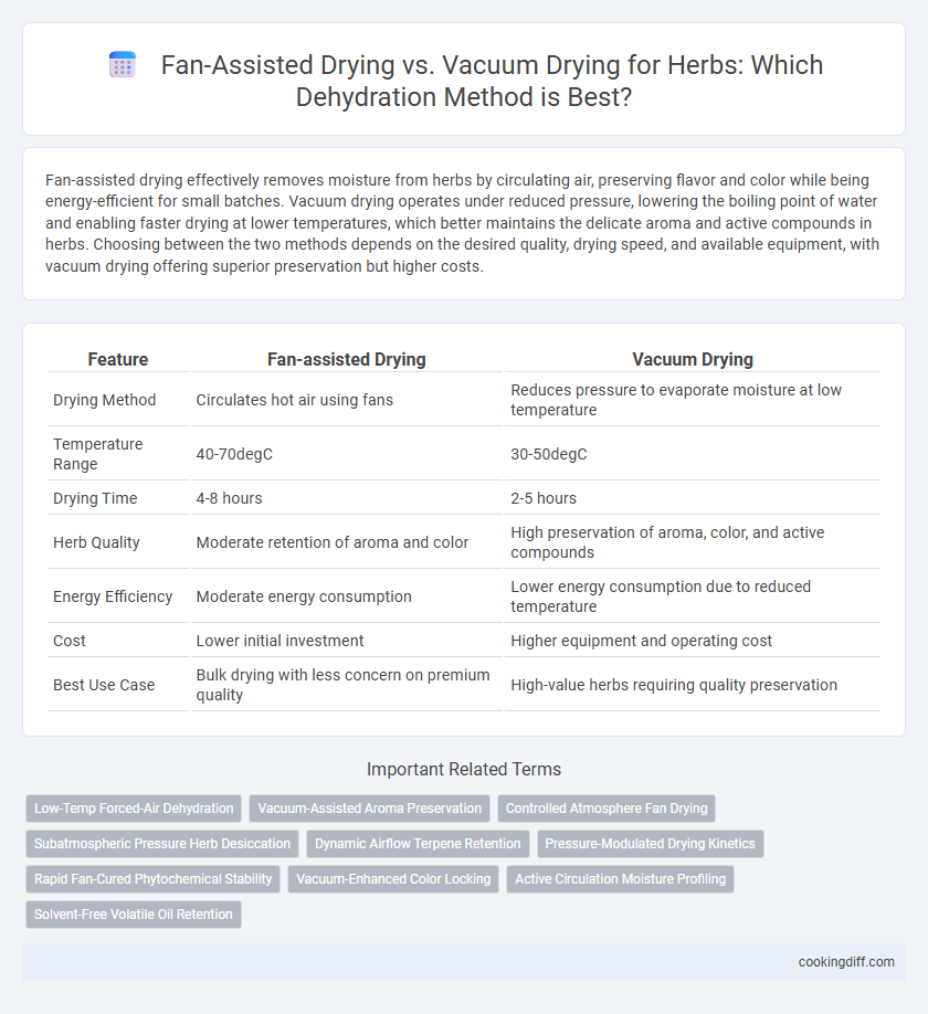 Fan-Assisted Drying vs. Vacuum Drying for Herbs: Which Dehydration Method is Best?