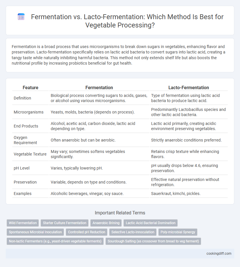 Fermentation vs. Lacto-Fermentation: Which Method Is Best for Vegetable Processing?