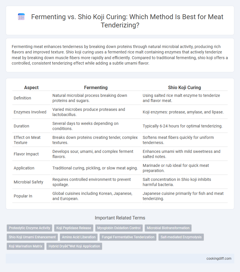 Fermenting vs. Shio Koji Curing: Which Method Is Best for Meat Tenderizing?