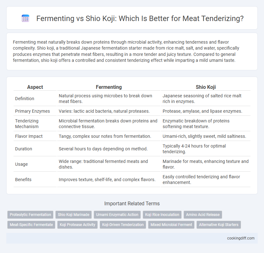 Fermenting vs Shio Koji: Which Is Better for Meat Tenderizing?