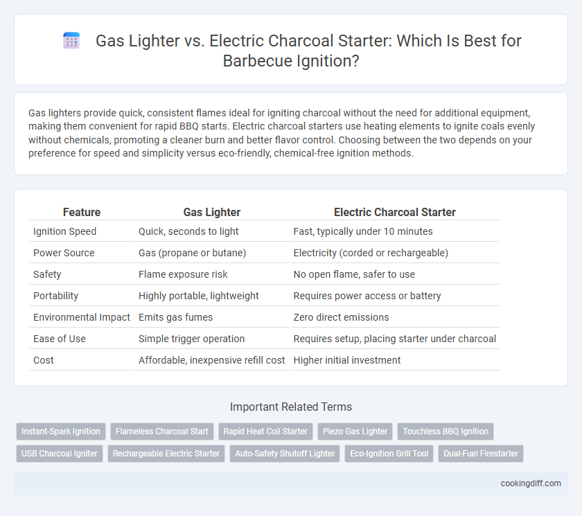 Gas Lighter vs. Electric Charcoal Starter: Which Is Best for Barbecue Ignition?