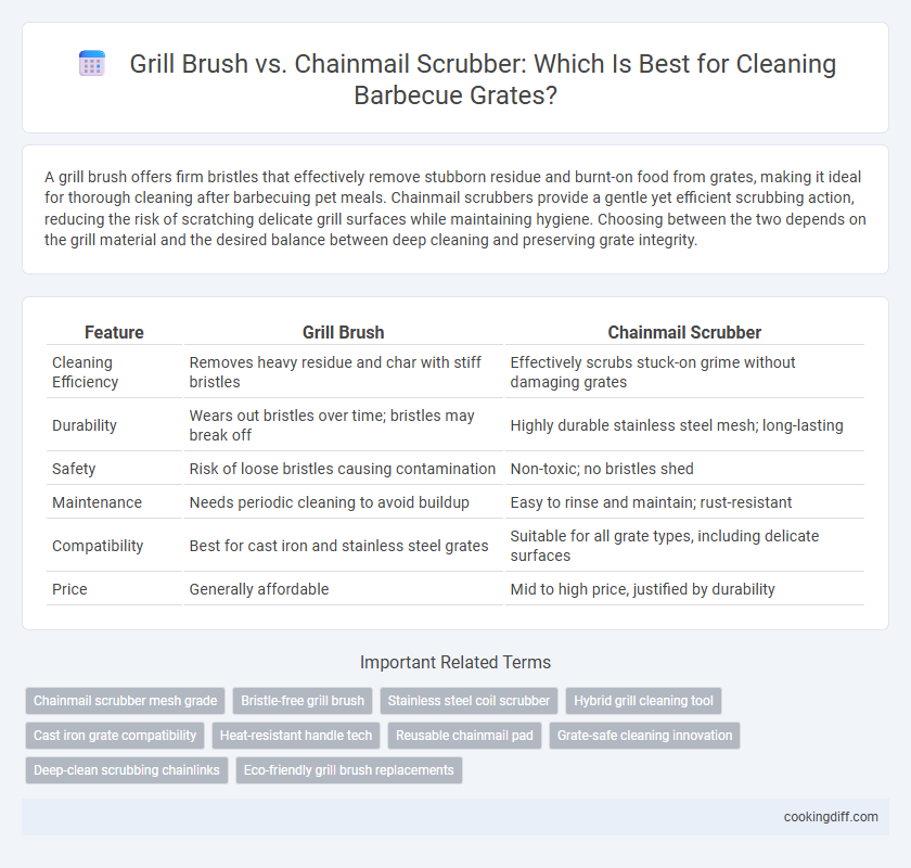 Grill Brush vs. Chainmail Scrubber: Which Is Best for Cleaning Barbecue Grates?