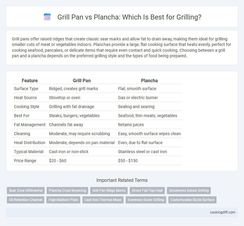 Grill Pan vs Plancha: Which Is Best for Grilling?