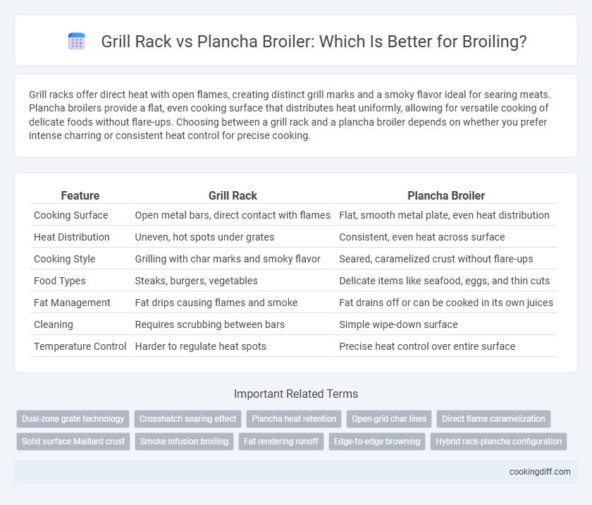 Grill Rack vs Plancha Broiler: Which Is Better for Broiling?