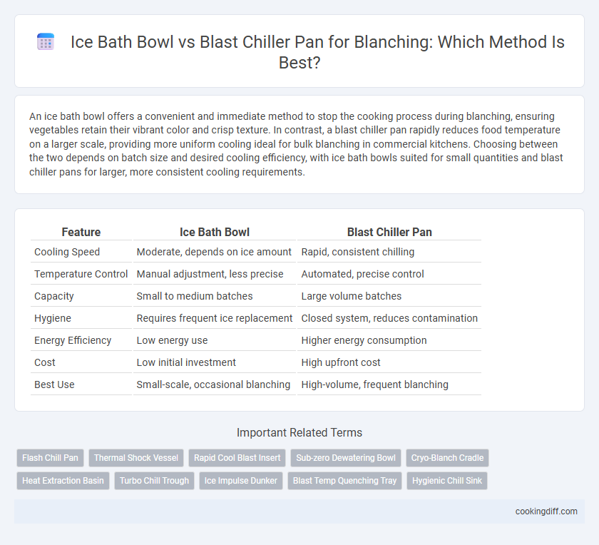 Ice Bath Bowl vs Blast Chiller Pan for Blanching: Which Method Is Best?