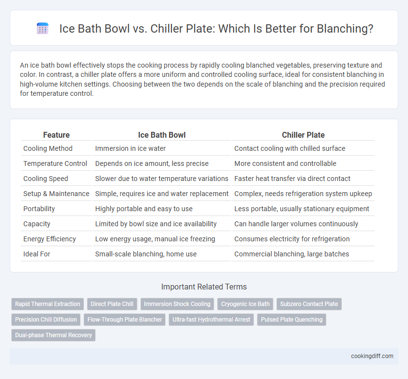 Ice Bath Bowl vs. Chiller Plate: Which Is Better for Blanching?