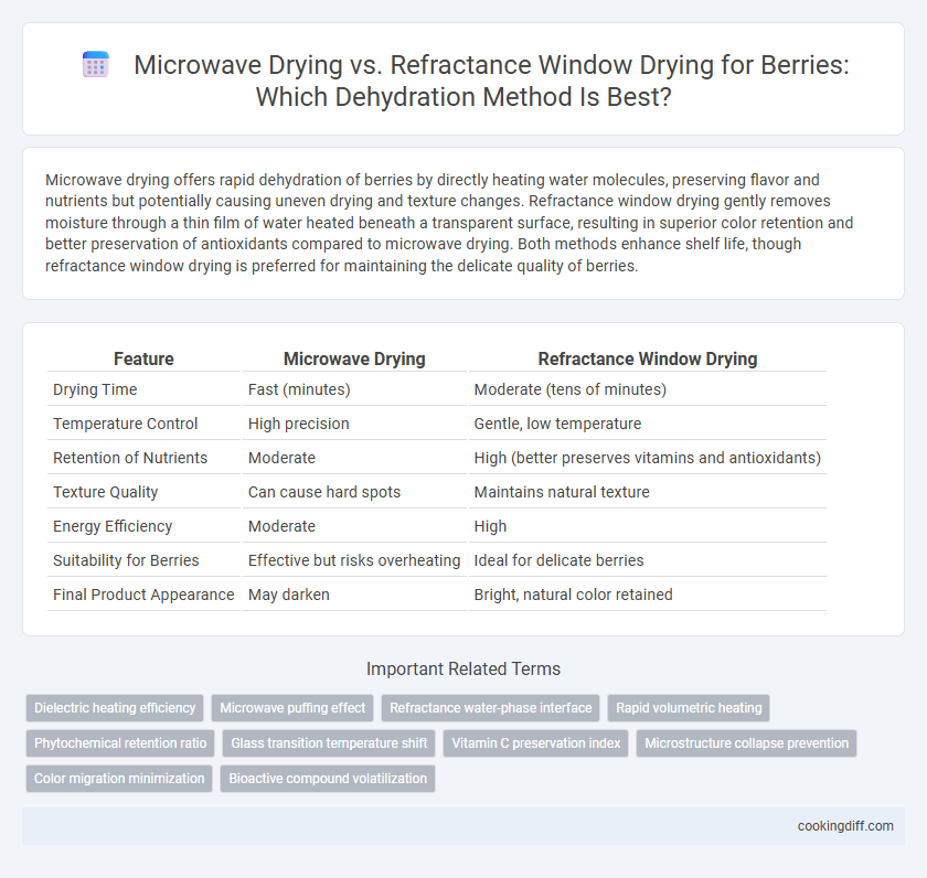 Microwave Drying vs. Refractance Window Drying for Berries: Which Dehydration Method Is Best?