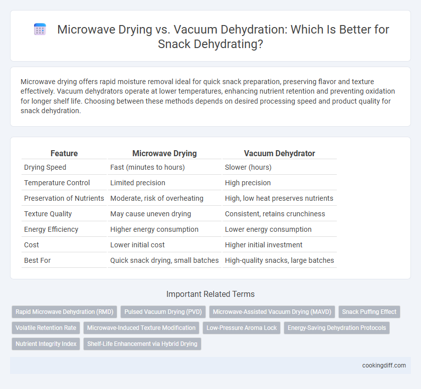 Microwave Drying vs. Vacuum Dehydration: Which Is Better for Snack Dehydrating?