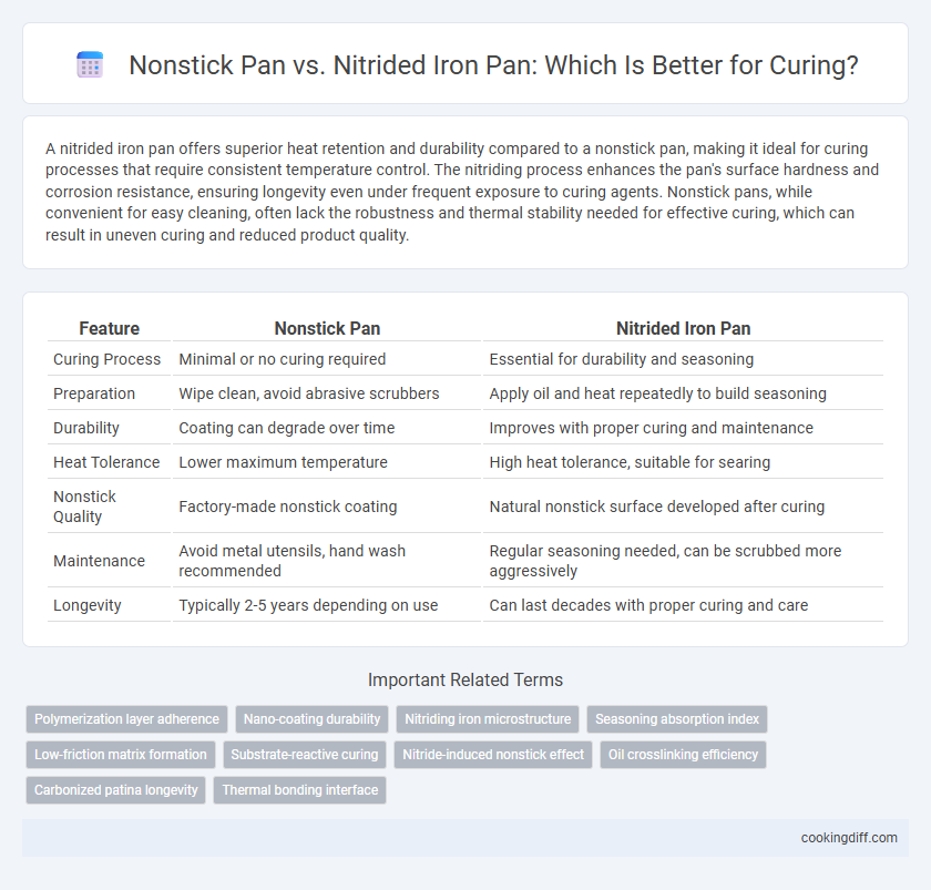 Nonstick Pan vs. Nitrided Iron Pan: Which Is Better for Curing?