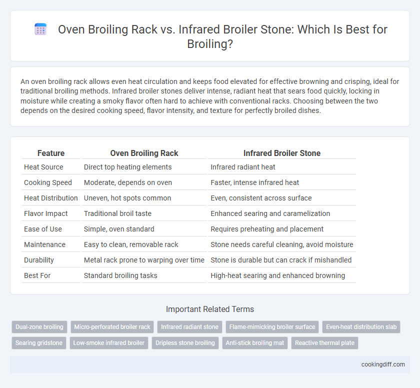 Oven Broiling Rack vs. Infrared Broiler Stone: Which Is Best for Broiling?