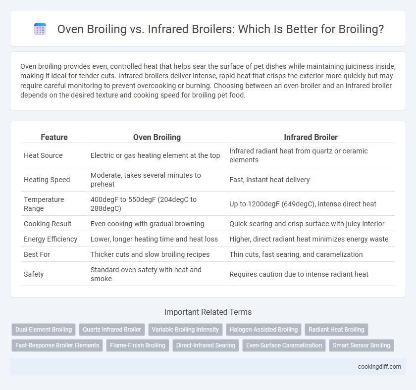 Oven Broiling vs. Infrared Broilers: Which Is Better for Broiling?