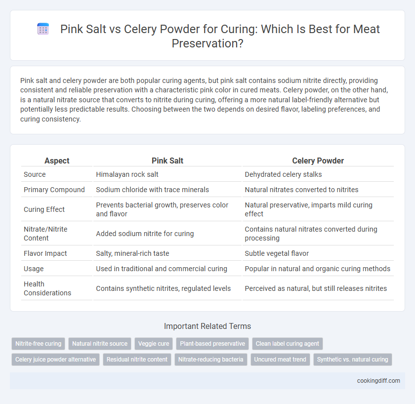 Pink Salt vs Celery Powder for Curing: Which Is Best for Meat Preservation?