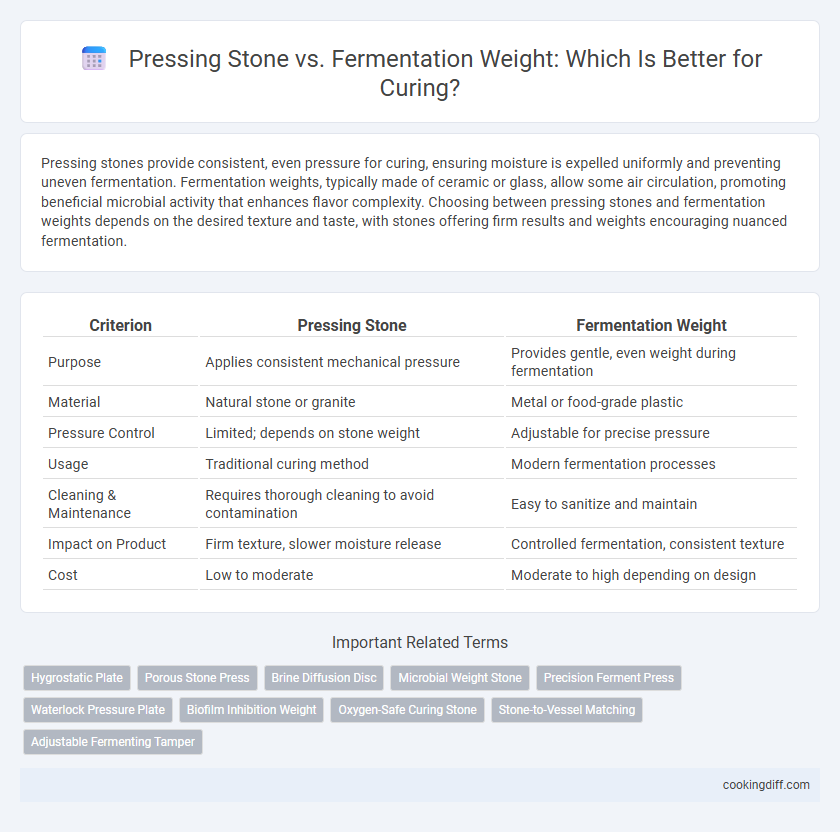 Pressing Stone vs. Fermentation Weight: Which Is Better for Curing?