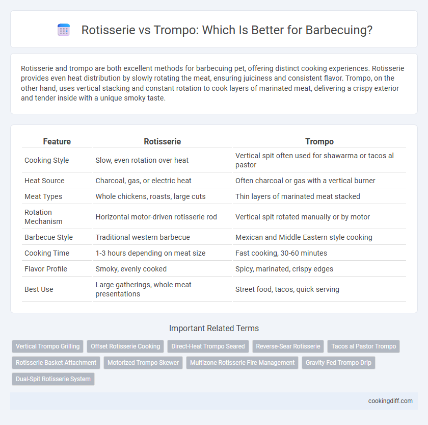 Rotisserie vs Trompo: Which Is Better for Barbecuing?