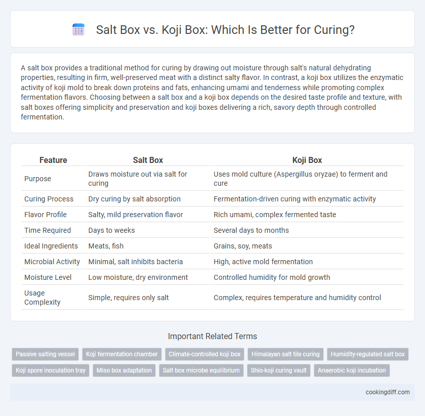Salt Box vs. Koji Box: Which Is Better for Curing?