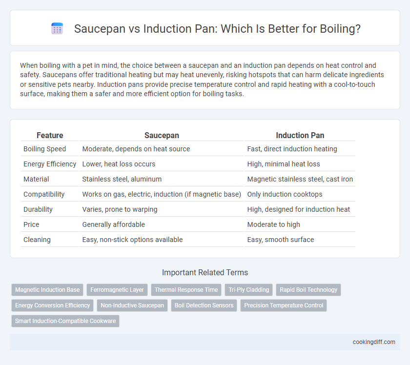 Saucepan vs Induction Pan: Which Is Better for Boiling?