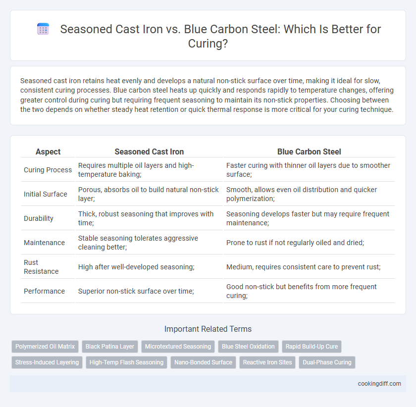 Seasoned Cast Iron vs. Blue Carbon Steel: Which Is Better for Curing?