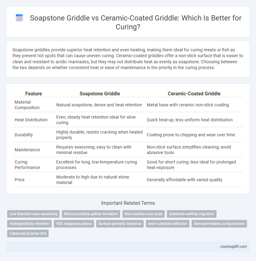 Soapstone Griddle vs Ceramic-Coated Griddle: Which Is Better for Curing?