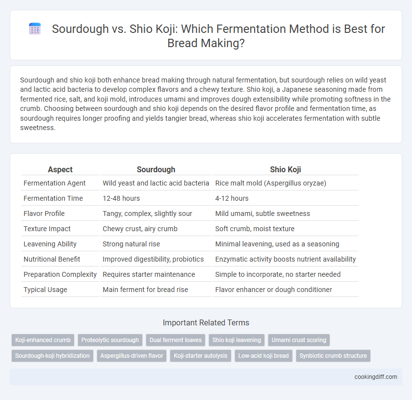 Sourdough vs. Shio Koji: Which Fermentation Method is Best for Bread Making?