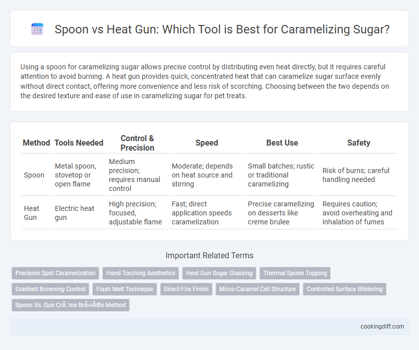 Spoon vs Heat Gun: Which Tool is Best for Caramelizing Sugar?