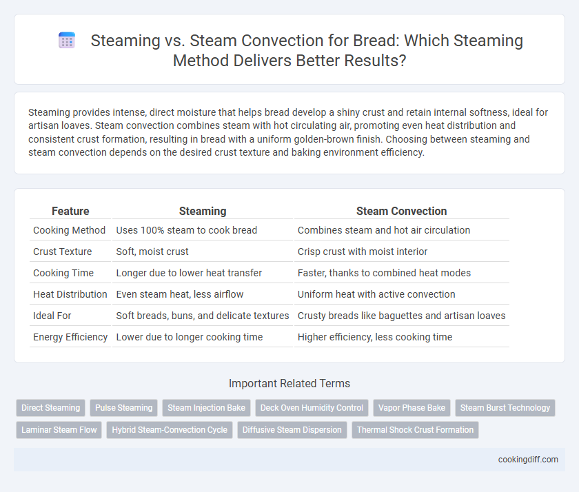 Steaming vs. Steam Convection for Bread: Which Steaming Method Delivers Better Results?