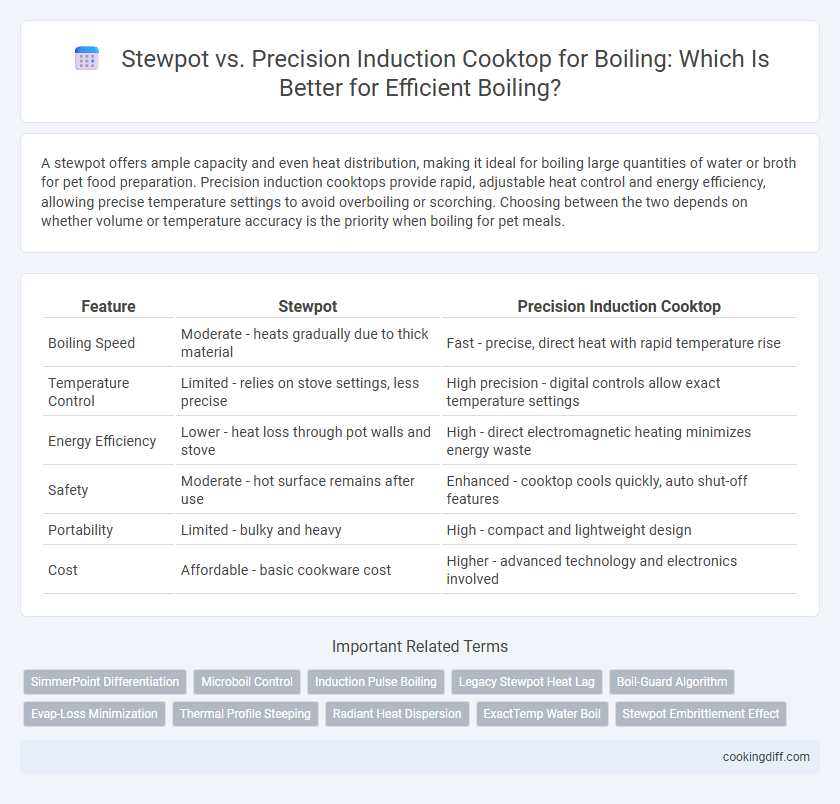 Stewpot vs. Precision Induction Cooktop for Boiling: Which Is Better for Efficient Boiling?