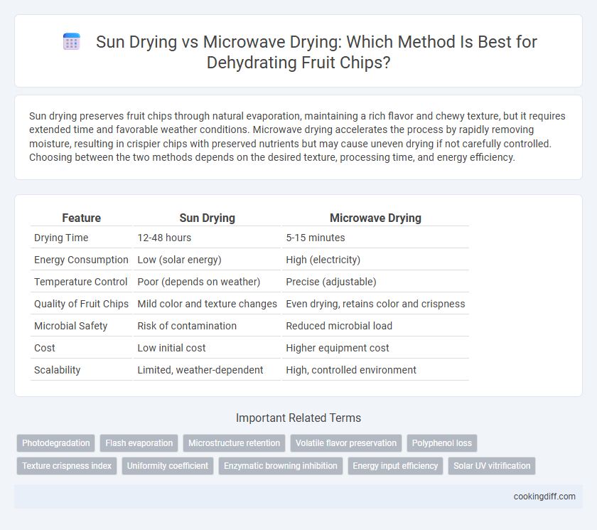 Sun Drying vs Microwave Drying: Which Method Is Best for Dehydrating Fruit Chips?
