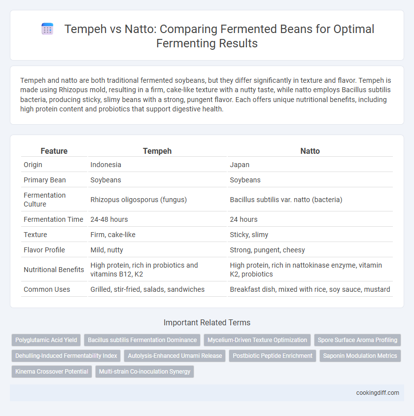Tempeh vs Natto: Comparing Fermented Beans for Optimal Fermenting Results