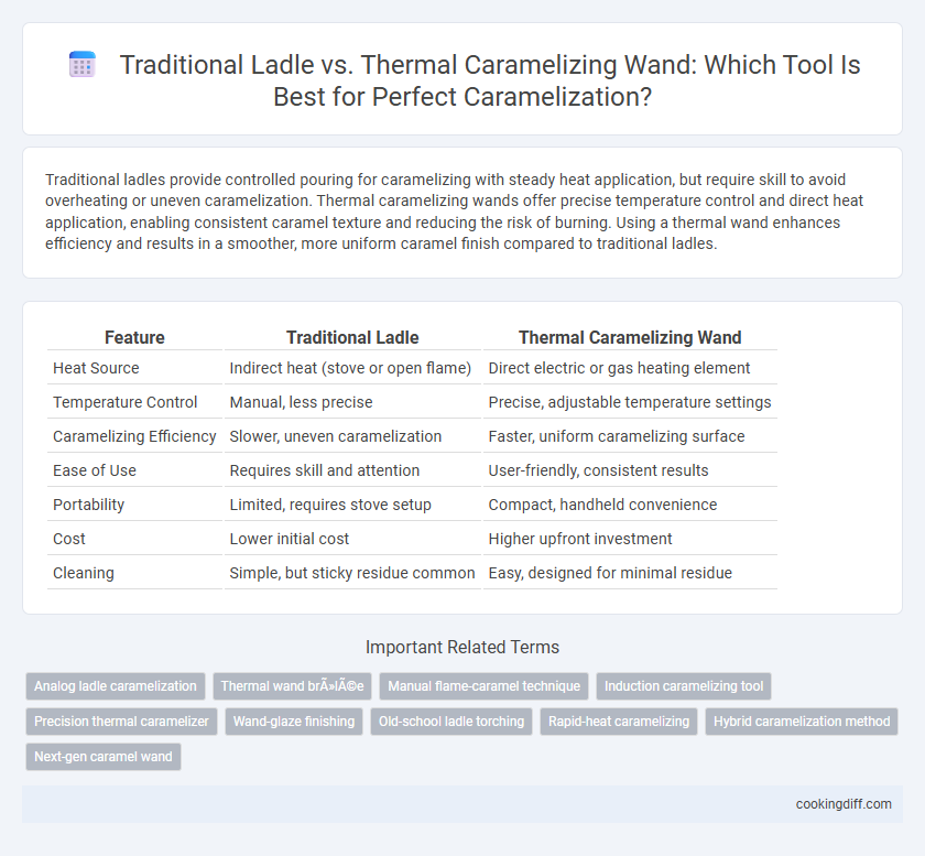 Traditional Ladle vs. Thermal Caramelizing Wand: Which Tool Is Best for Perfect Caramelization?