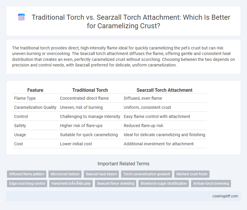 Traditional Torch vs. Searzall Torch Attachment: Which Is Better for Caramelizing Crust?