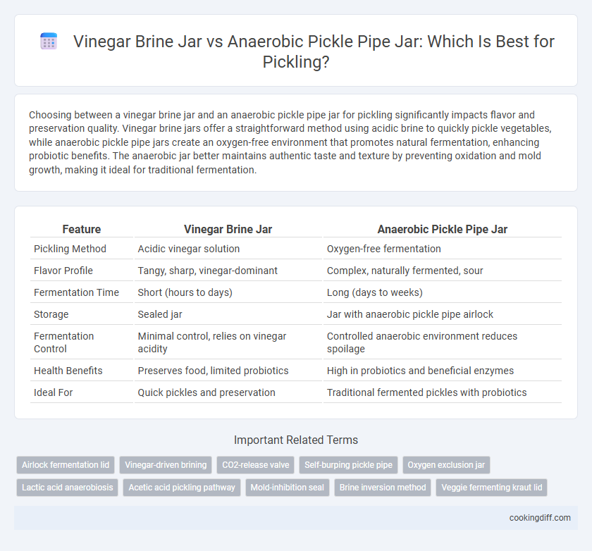 Vinegar Brine Jar vs Anaerobic Pickle Pipe Jar: Which Is Best for Pickling?