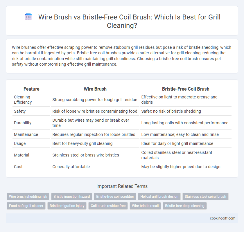 Wire Brush vs Bristle-Free Coil Brush: Which Is Best for Grill Cleaning?