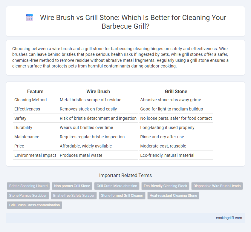 Wire Brush vs Grill Stone: Which Is Better for Cleaning Your Barbecue Grill?