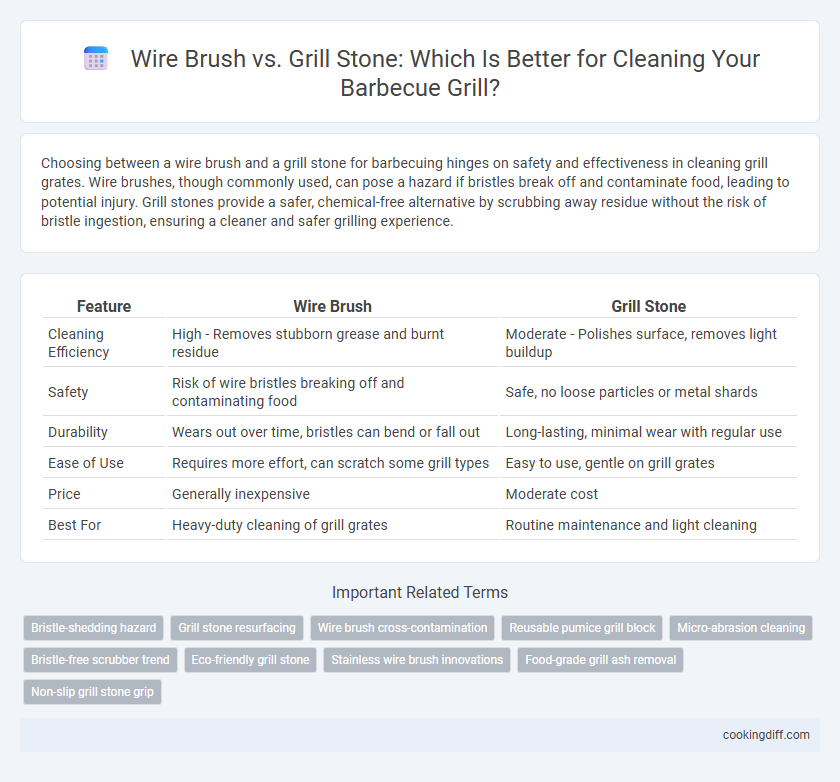 Wire Brush vs. Grill Stone: Which Is Better for Cleaning Your Barbecue Grill?