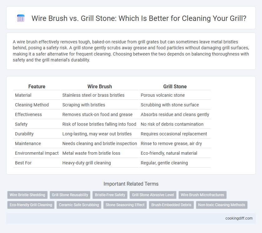Wire Brush vs. Grill Stone: Which Is Better for Cleaning Your Grill?