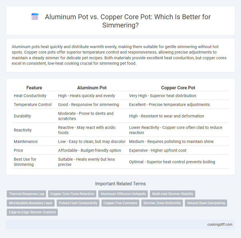 Aluminum Pot vs. Copper Core Pot: Which Is Better for Simmering?