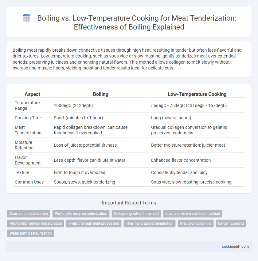 Boiling vs. Low-Temperature Cooking for Meat Tenderization: Effectiveness of Boiling Explained