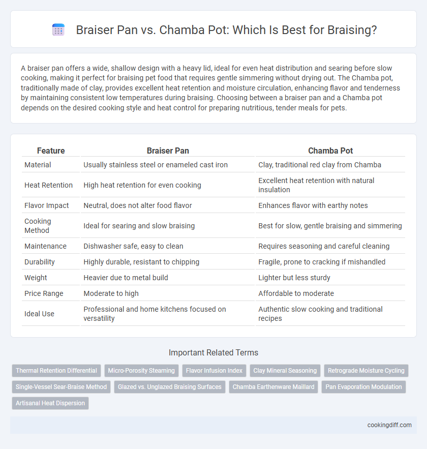 Braiser Pan vs. Chamba Pot: Which Is Best for Braising?