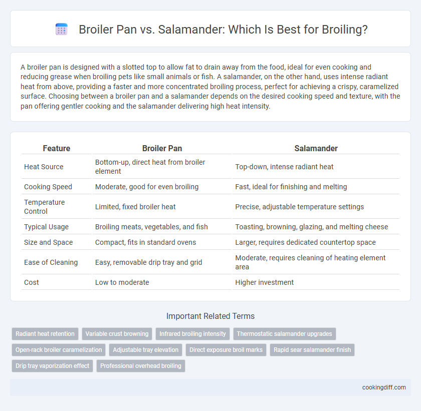 Broiler Pan vs. Salamander: Which Is Best for Broiling?