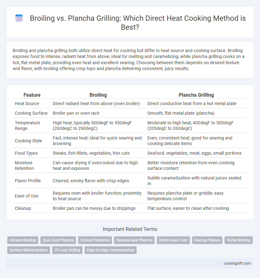 Broiling vs. Plancha Grilling: Which Direct Heat Cooking Method is Best?