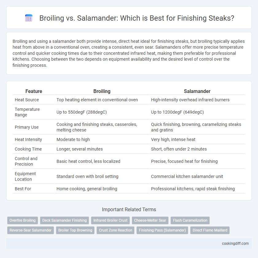 Broiling vs. Salamander: Which is Best for Finishing Steaks?