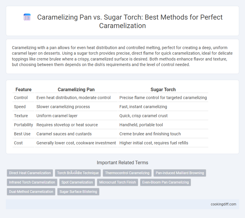 Caramelizing Pan vs. Sugar Torch: Best Methods for Perfect Caramelization