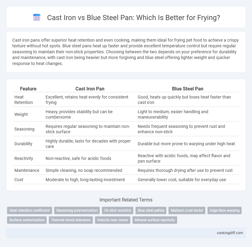 Cast Iron vs Blue Steel Pan: Which Is Better for Frying?