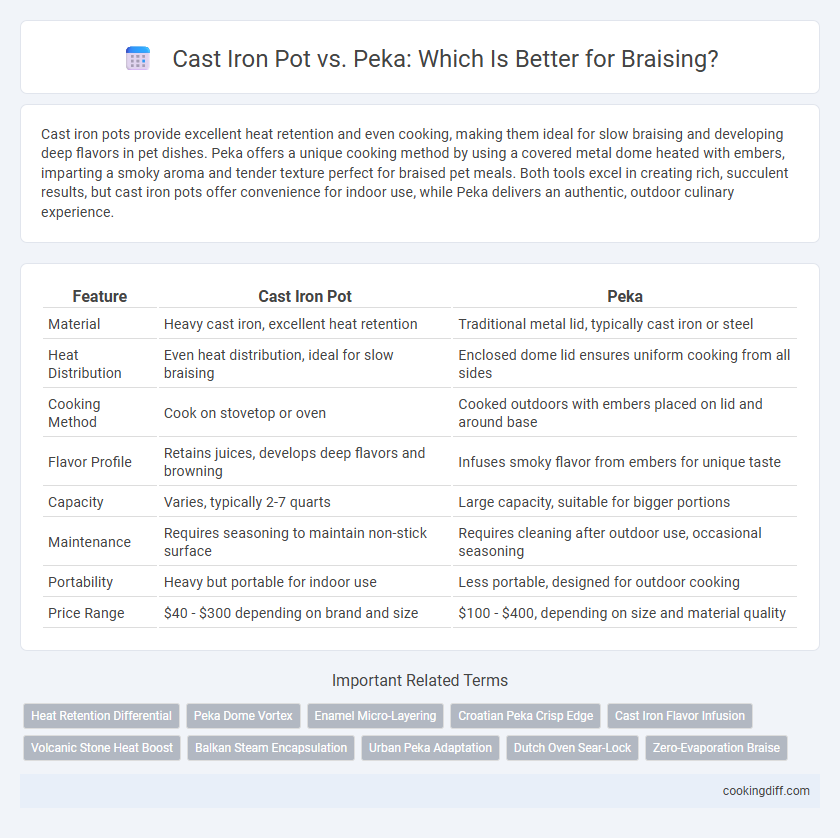 Cast Iron Pot vs. Peka: Which Is Better for Braising?