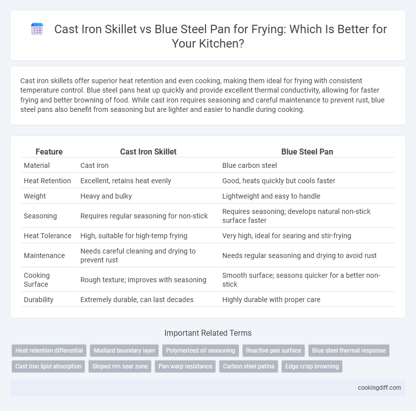 Cast Iron Skillet vs Blue Steel Pan for Frying: Which Is Better for Your Kitchen?