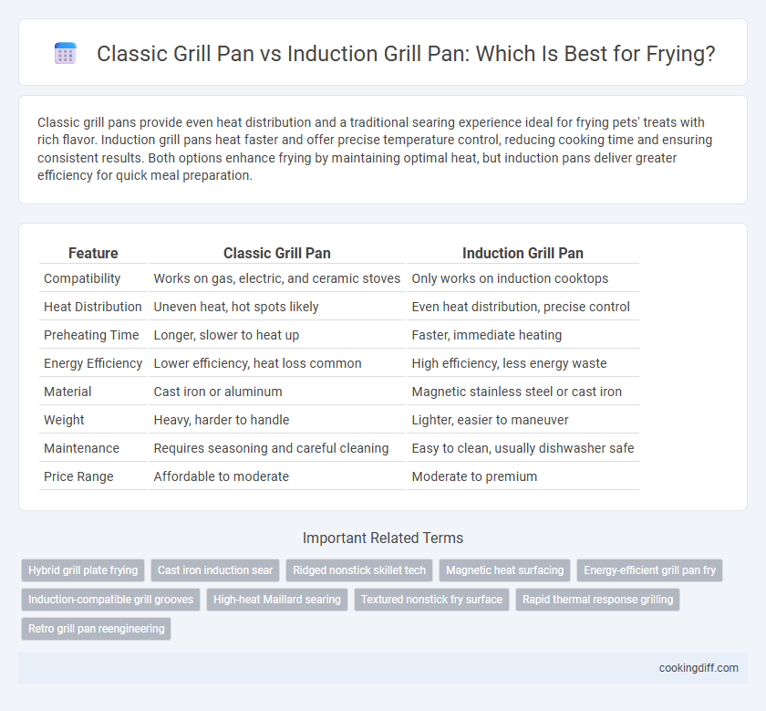 Classic Grill Pan vs Induction Grill Pan: Which Is Best for Frying?