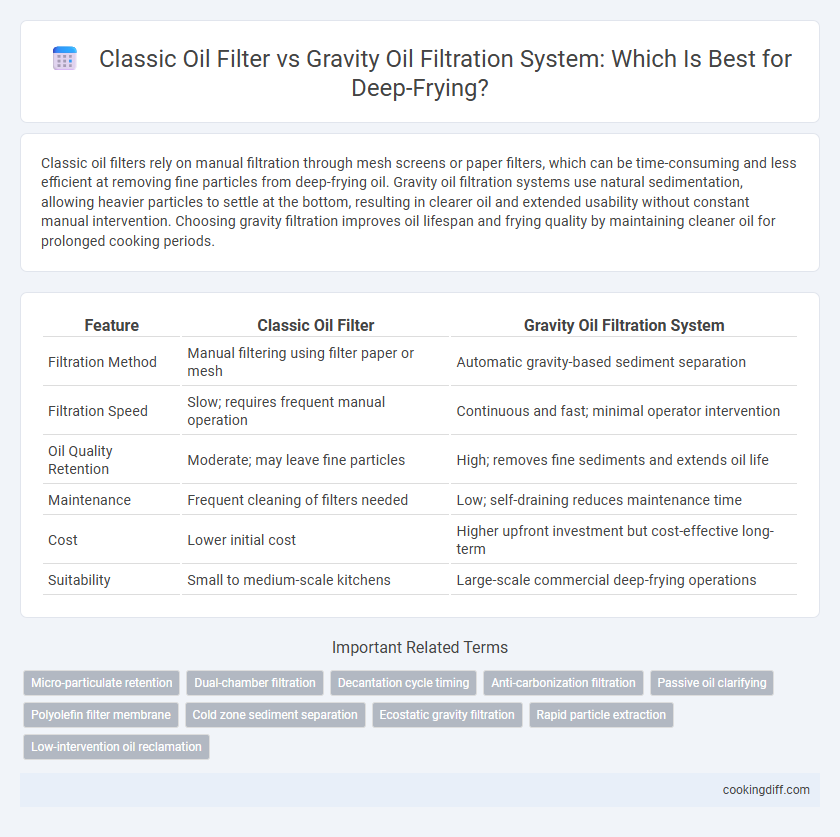 Classic Oil Filter vs Gravity Oil Filtration System: Which Is Best for Deep-Frying?